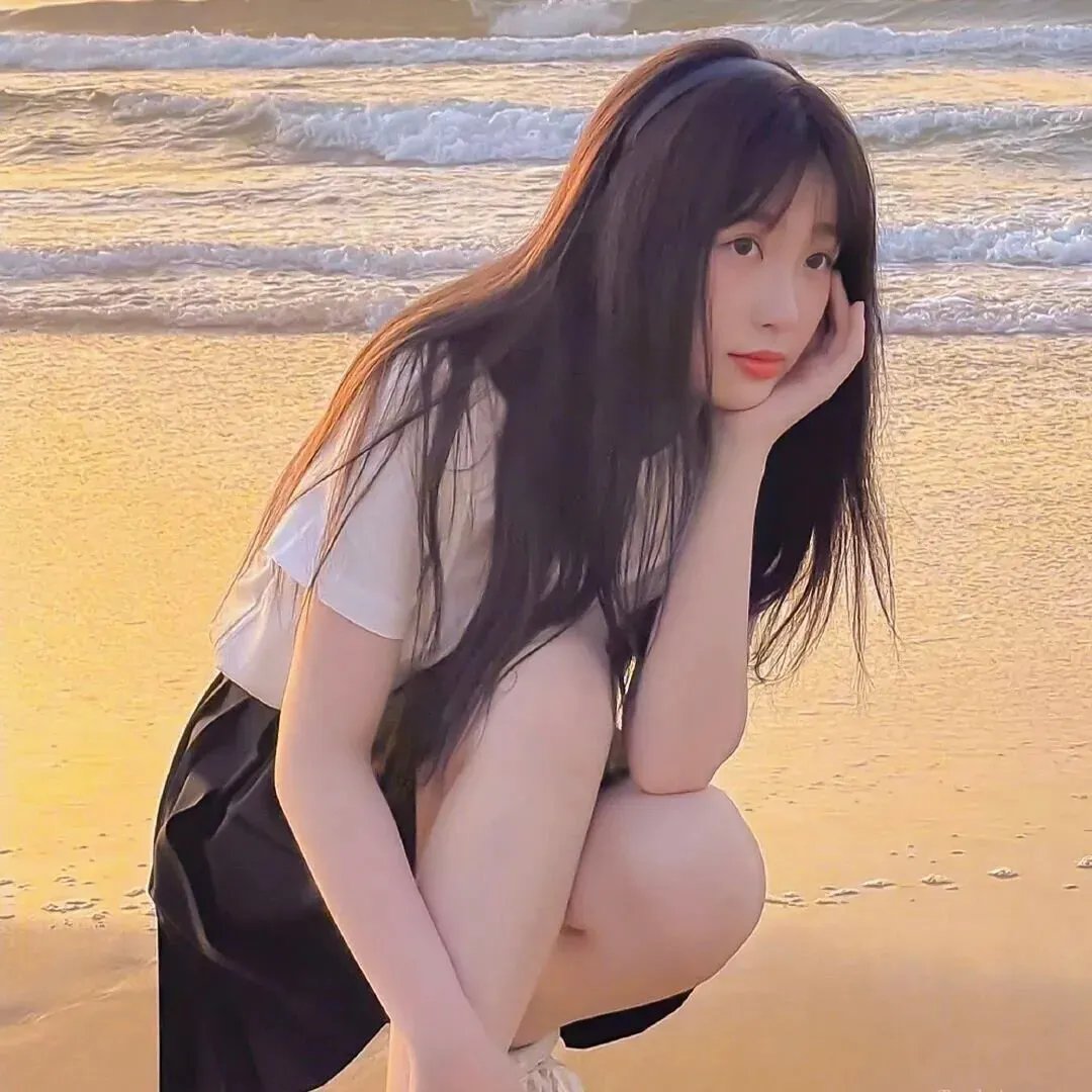欢迎来到丛林